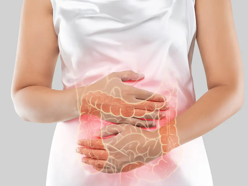 گوشت و التهاب روده‌ای: چرا جایگزین‌های گیاهی سلامت گوارش را تقویت می‌کنند؟