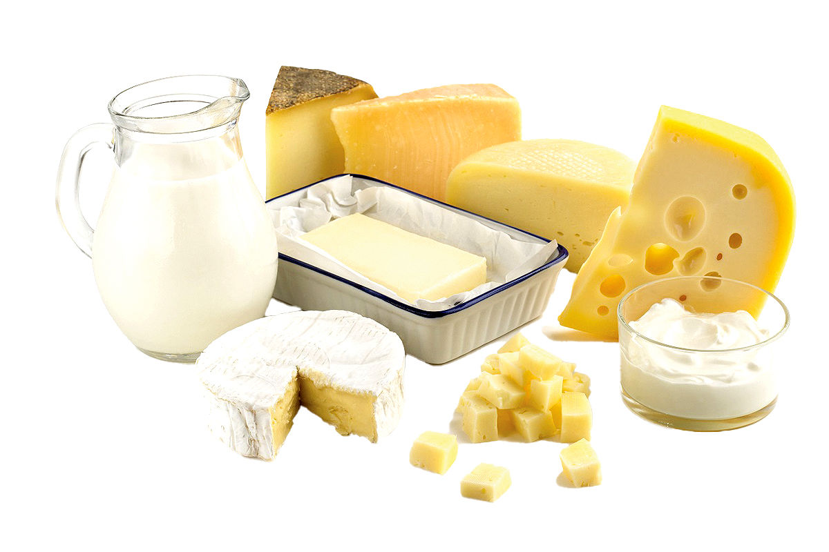 لبنیات سنتی در برابر لبنیات گیاهی؛ کدام برای سلامتی و محیط‌زیست بهتر است؟