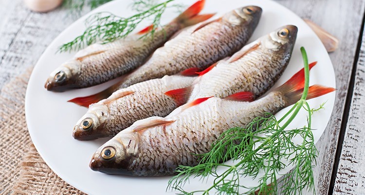 پیامدهای مصرف ماهی بر افزایش ریسک سرطان معده و مزایای منابع جایگزین گیاهی