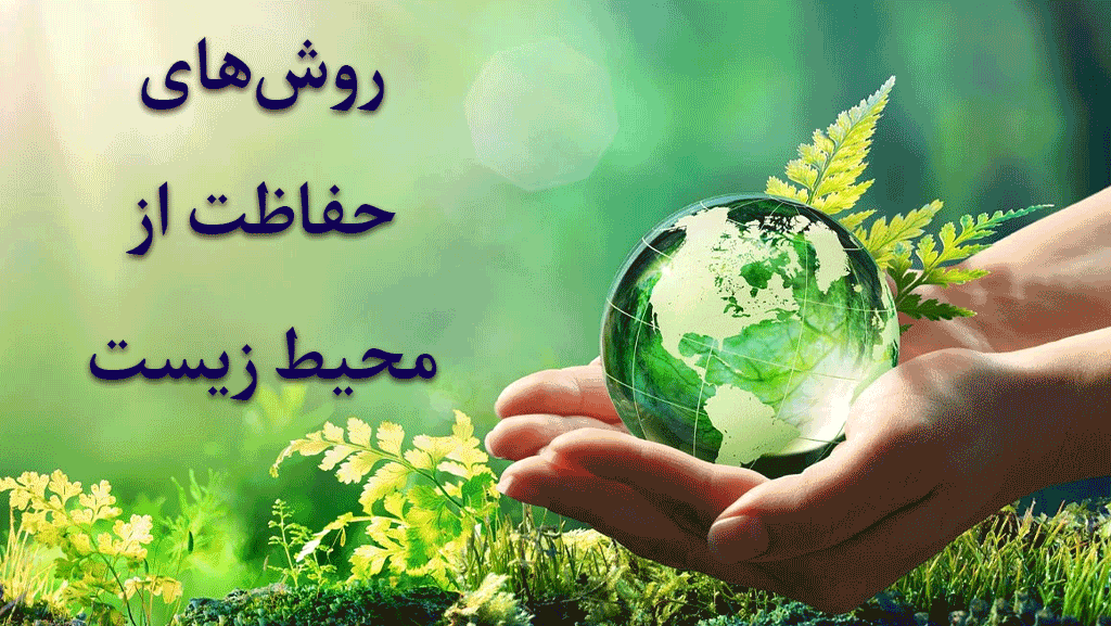تأثیر دامداری بر گرمایش زمین و جایگزین‌های گیاهی