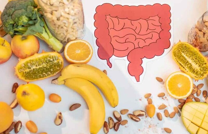 گیاهخواری، سلامت روده و مسئولیت اخلاقی ما در قبال حیوانات