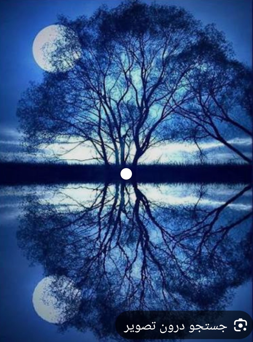 غزل ،شعر صدای بی صداها،محمدرضا گلی احمدگورابی