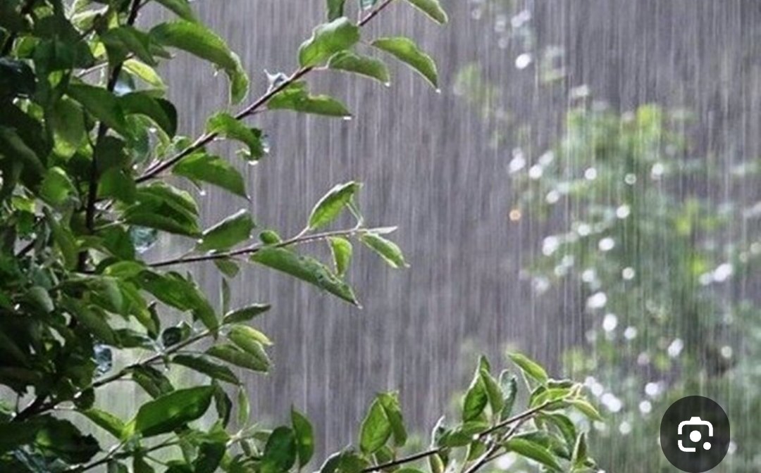 محمدرضا گلی احمدگورابی ،شعر سپیدحافظ نقاش واژه ها درشب یلدا