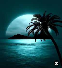 غزل«مهتابِ بی‌پناه؛ روایتی فلسفی از تنهایی و شب»محمدرضا گلی