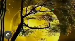 غزل مهتاب و باران عشق