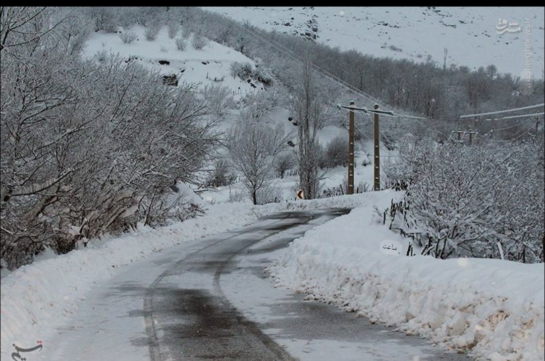 غزل برف نیایش ،محمدرضا گلی احمدگورابی