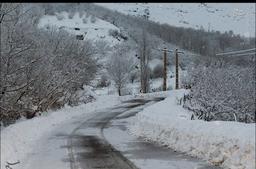 غزل برف نیایش