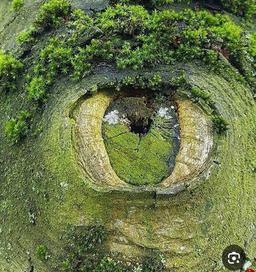 غزل موج تماشا