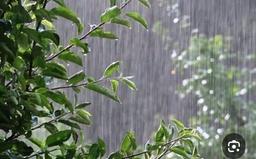 غزل«چشم وا کردم به دنیا» – شعری فلسفی درباره تولد، معنا و نور الهی