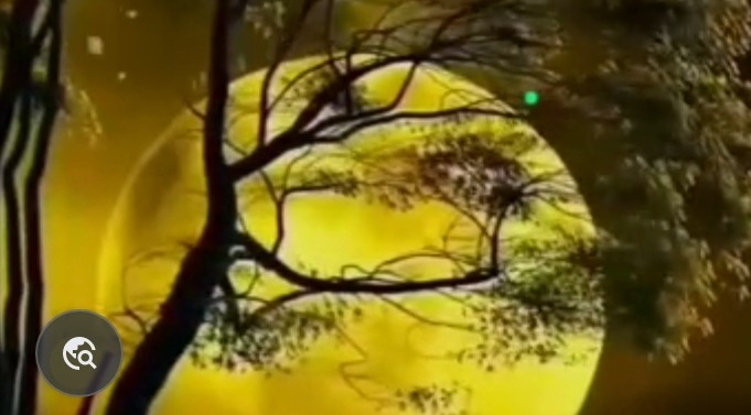 محمدرضا گلی احمد گورابی ،غزل آسمان عشق