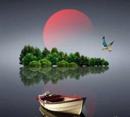 غزل"نور شب در چشم دریا" | غزلی از احساس و رؤیا