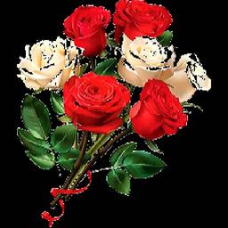 غزل«شعر عاشقانه درباره عشق و امید | نسیم صبحگاهی دل»