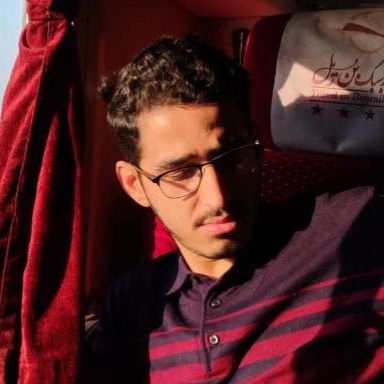 ابوالفضل ناصری