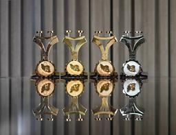 تندیس‌ها و تقدیرنامه‌های میثم شکری ساز