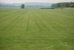 قبل از خرید زمین این نکات را ندیده نگیرید! راهنمای جامع برای خریداران زمین در هر نقطه از ایران