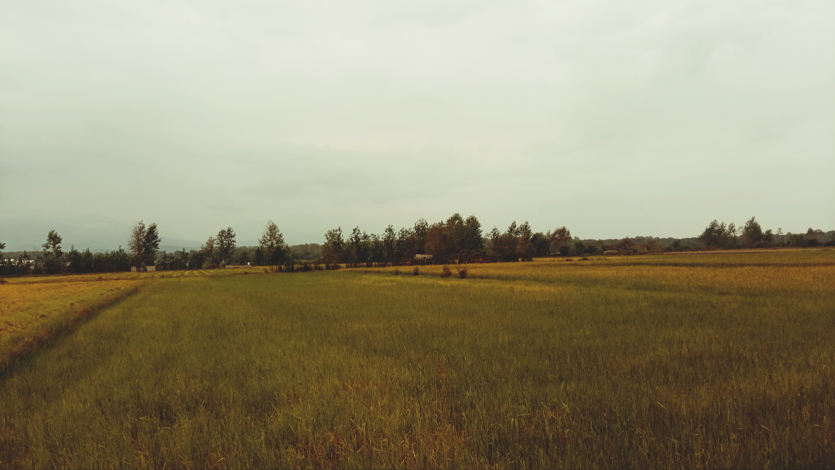 عکسی از شهرهای شمالی کشور (گیرنده: بنده)