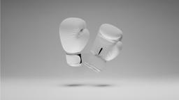 مبارزه برای هویتی پایدار