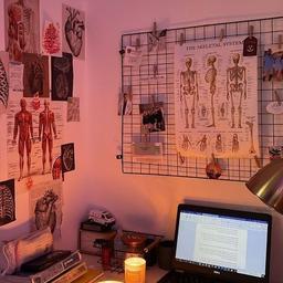 شاید برای آخرین بار