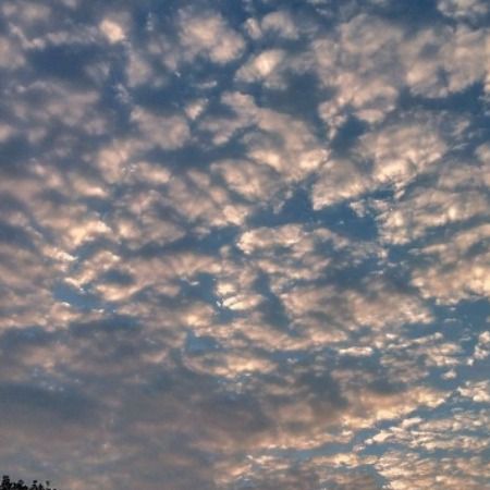 کلمات یک روز عادی