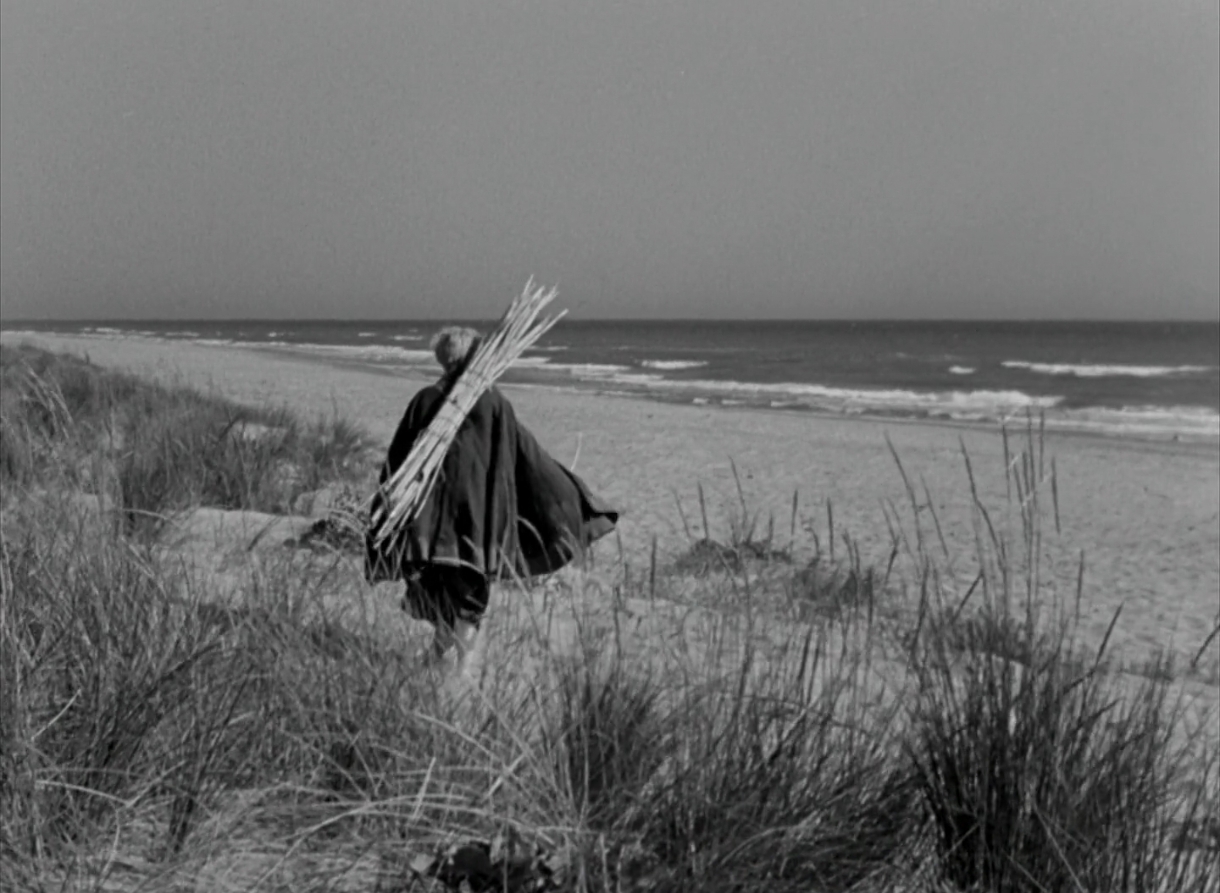 جلسومینا در طبیعت