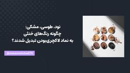 نود، طوسی، مشکی: چگونه رنگ‌های خنثی به نماد لاکچری‌بودن تبدیل شدند؟