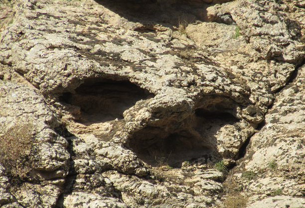 دره جنی اخلمد