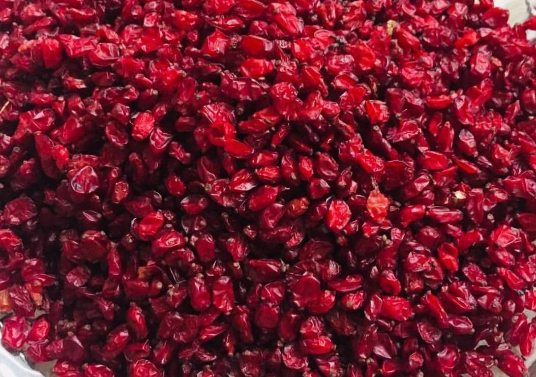 زرشک یاقوت سرخ ایرانی