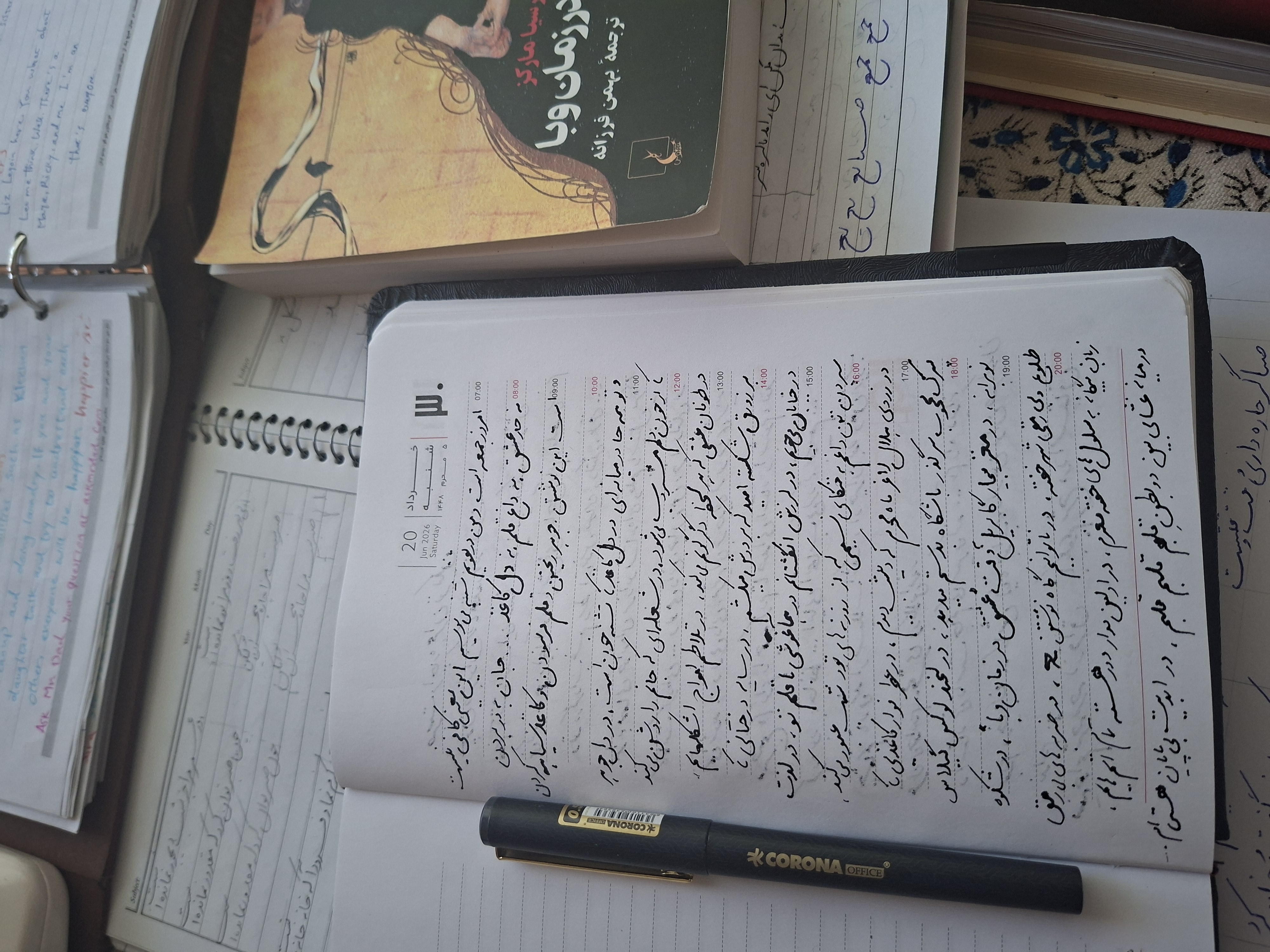 در عمر مرا، جز شب دیجور نمانده است