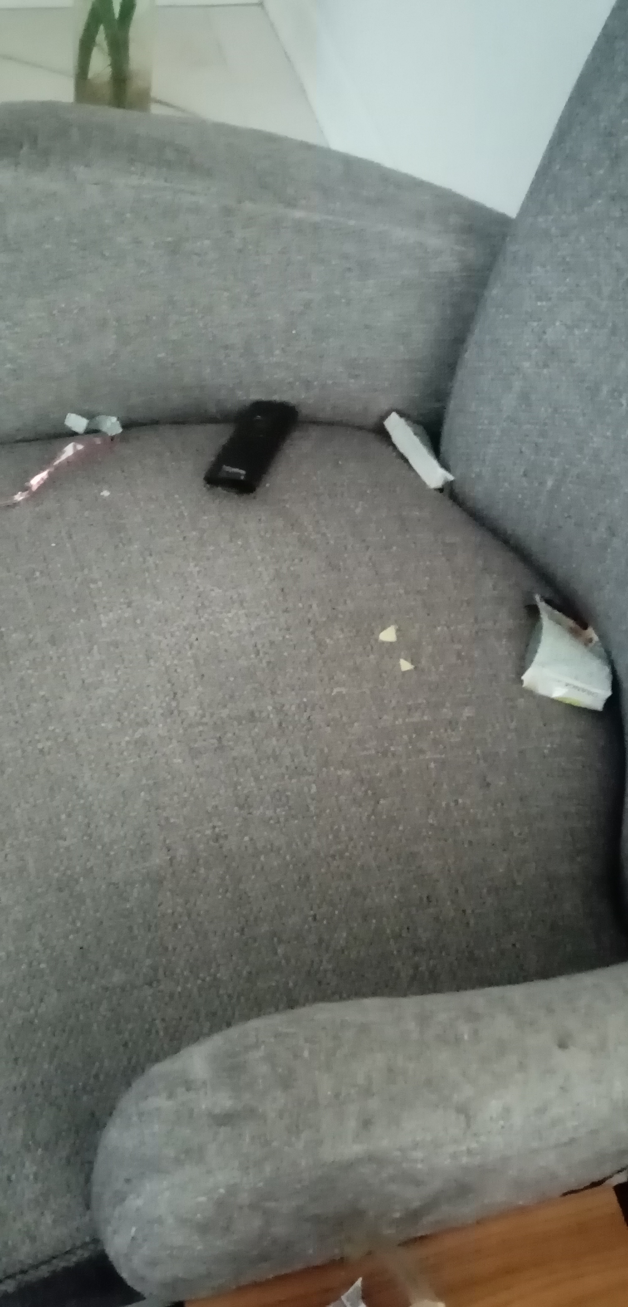 مدرک آوردم براتون