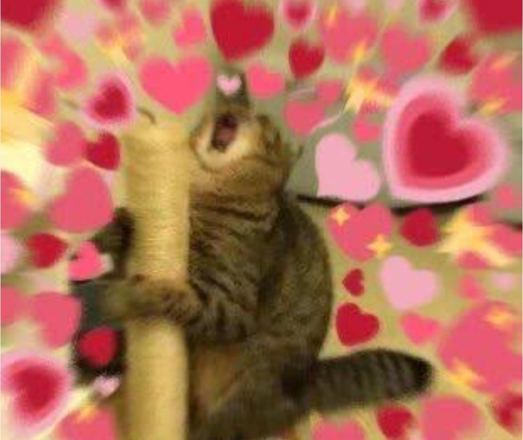 اینم باز تویی. آره باتوعم، معشوق ناپیدای من