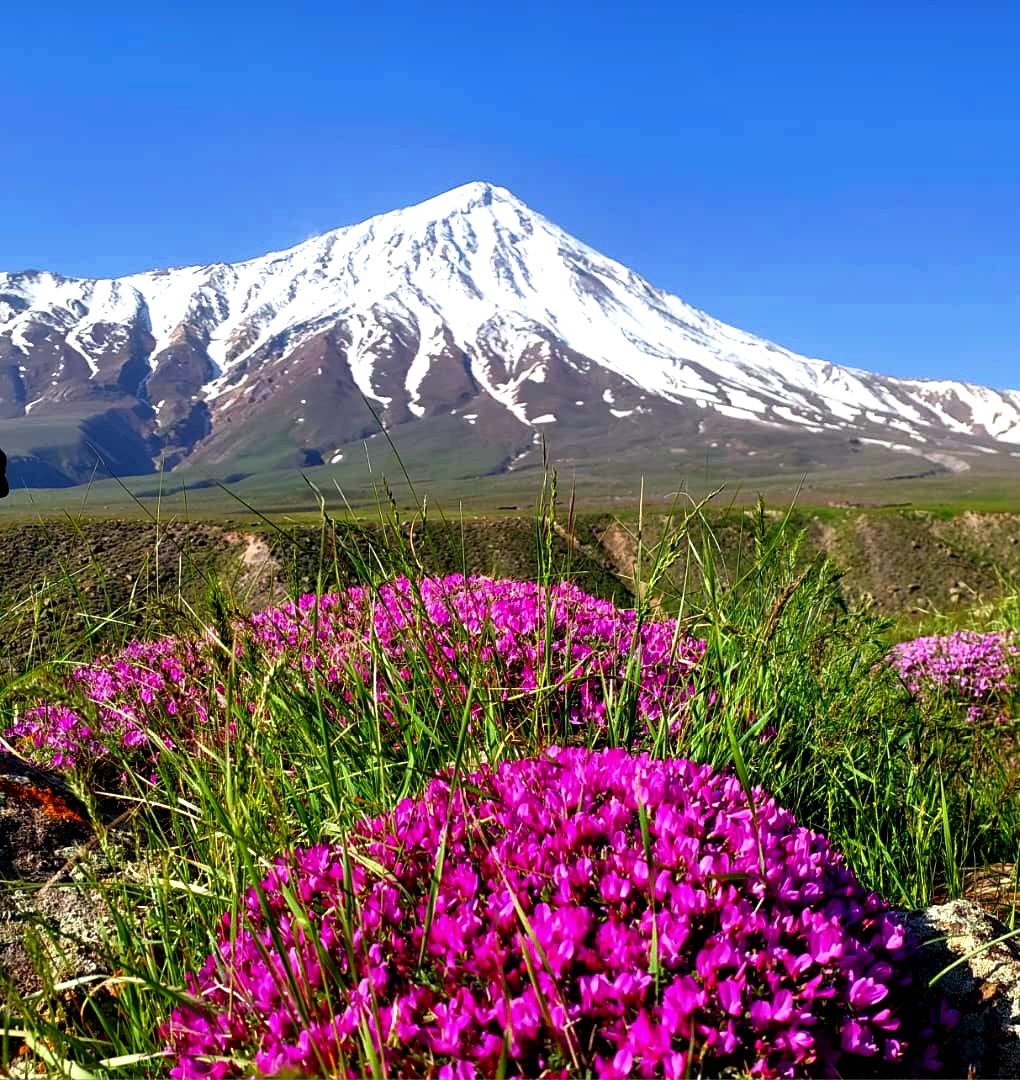 دماوند زیبا