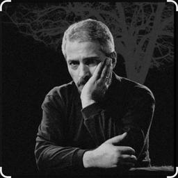 شهیدهای شهر