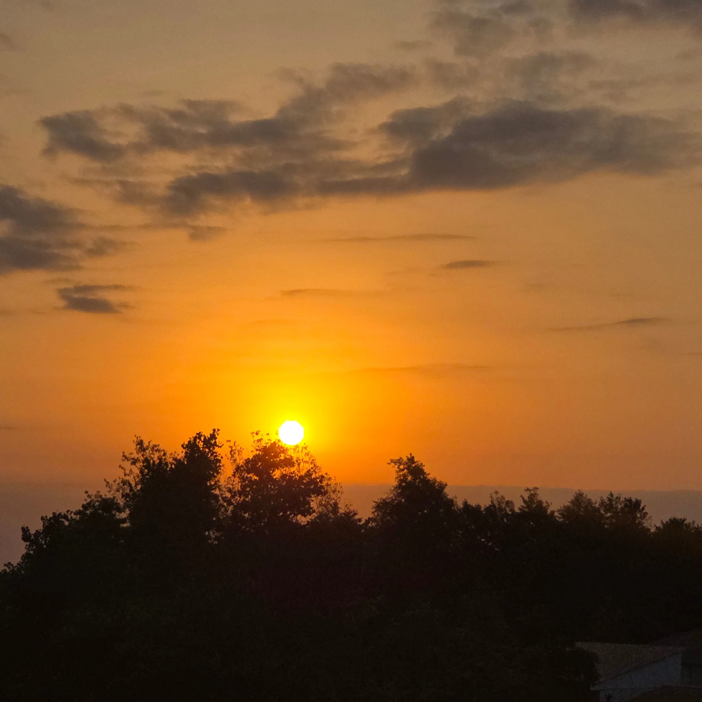 دیدن طلوع خورشید زیباترین تصویر دنیاست