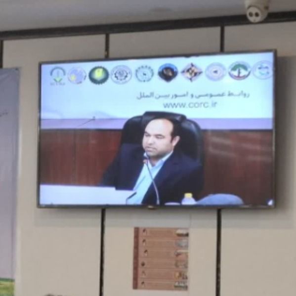 هادی زرقانی