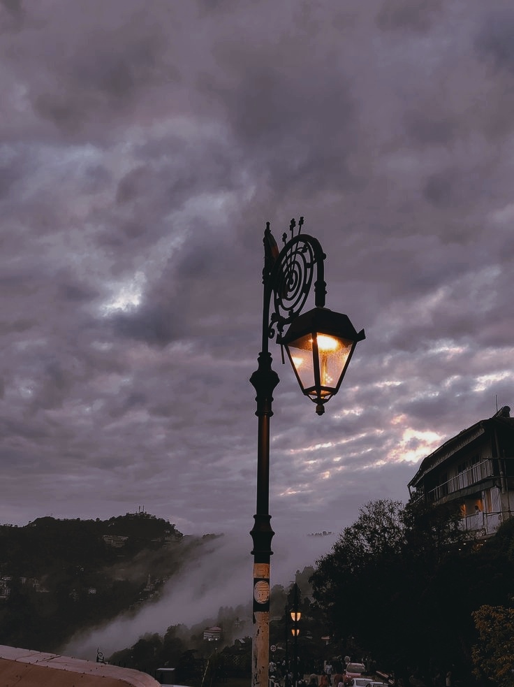 در هیاهوی شهر