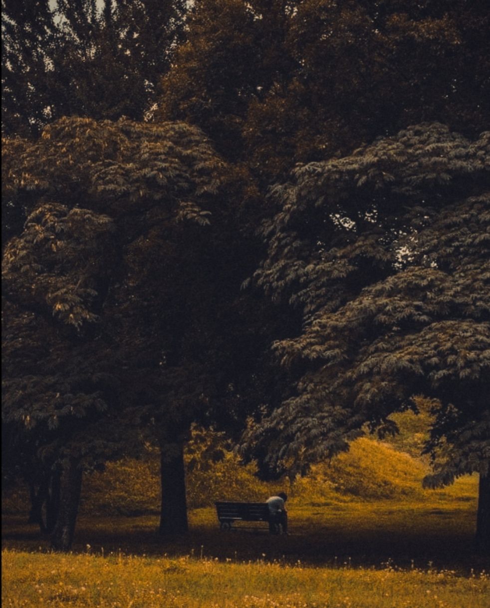 در انتظارِ تو..