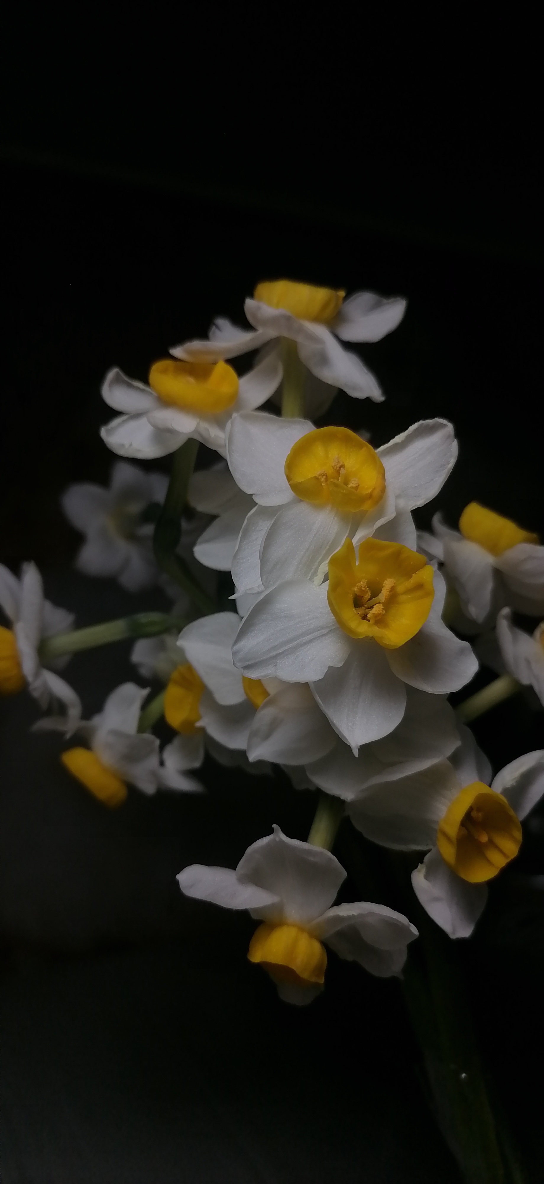 ~جست‌و‌جوی بی‌پایان~