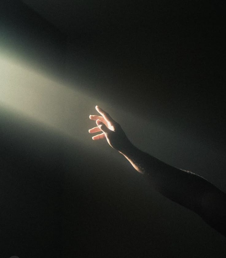 °با چشم میبینم که جانم می‌رود...°