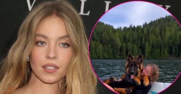 پت جدید سیدنی سوئینی