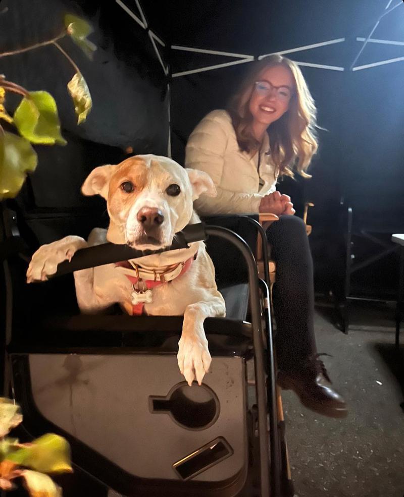 سگ قبلی سیدنی سوئینی