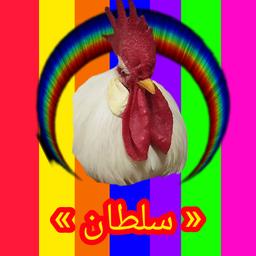 حسین روشن نژاد مؤدب/ انتشار سوم .