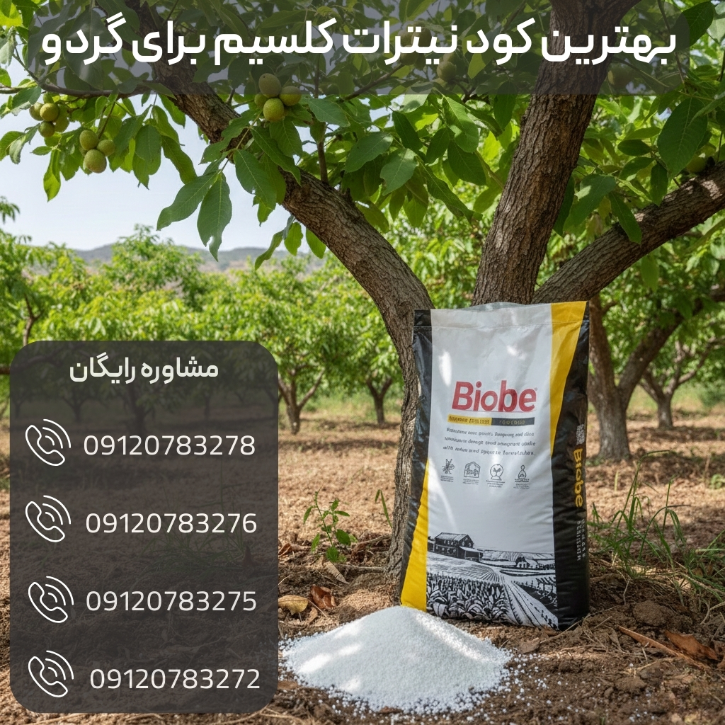 کود نیترات کلسیم برند بیوبی