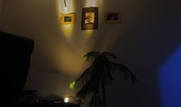 اتاق عزیزم، استعاره ای از دل جنگ