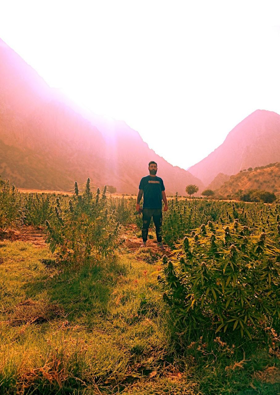 مستر گل ساوه دستگیر شد