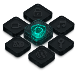 پلیر امن چیست و چه کاربردی دارد؟ PLAYERAMN
