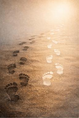 فلسفه ردپا: سفر وارثان و وصی‌ها