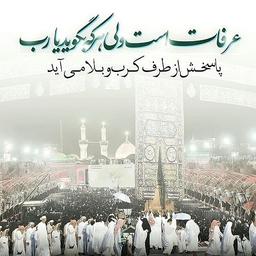 عرفات است ولی هر که بگوید یارب، پاسخش از طرف کرب وبلا می آید