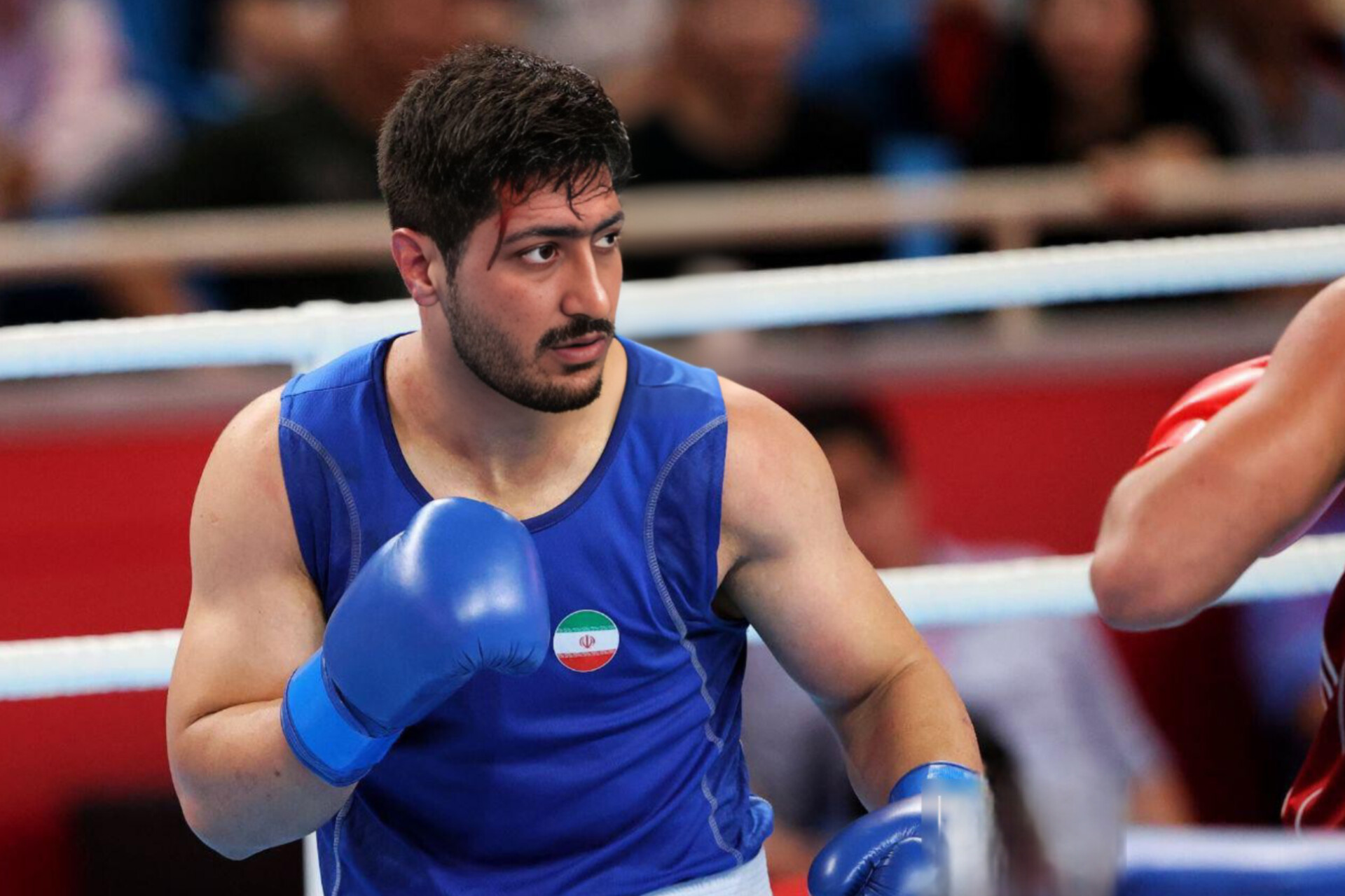 احسان زاهدی بوکسور