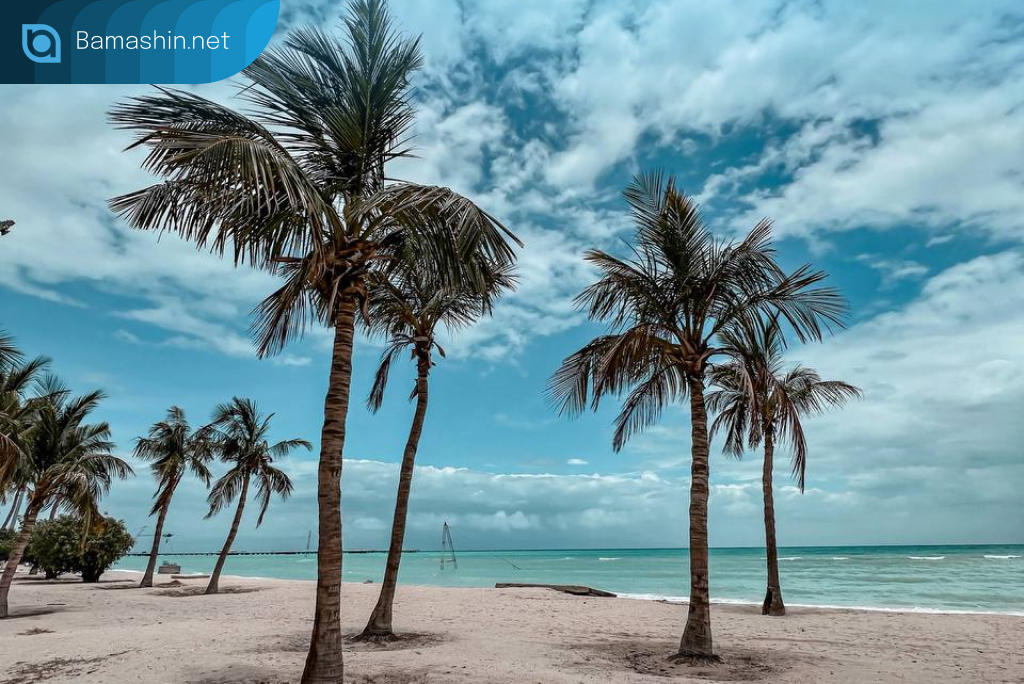 ساحل نارگیل کیش