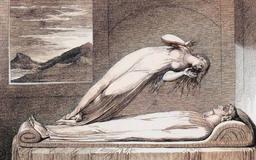 نگاهی به کتاب The man who wasn't there